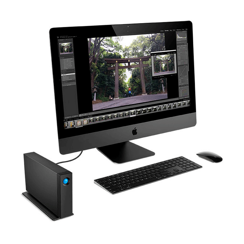 LaCie d2 8Tt Professional USB-C ulkoinen tallennusasema